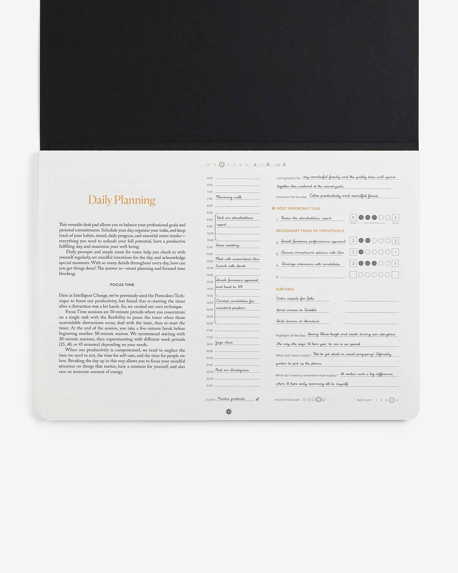 Productivity Daily Desk Pad | Daily Planning Notepad | Focus & Time Management