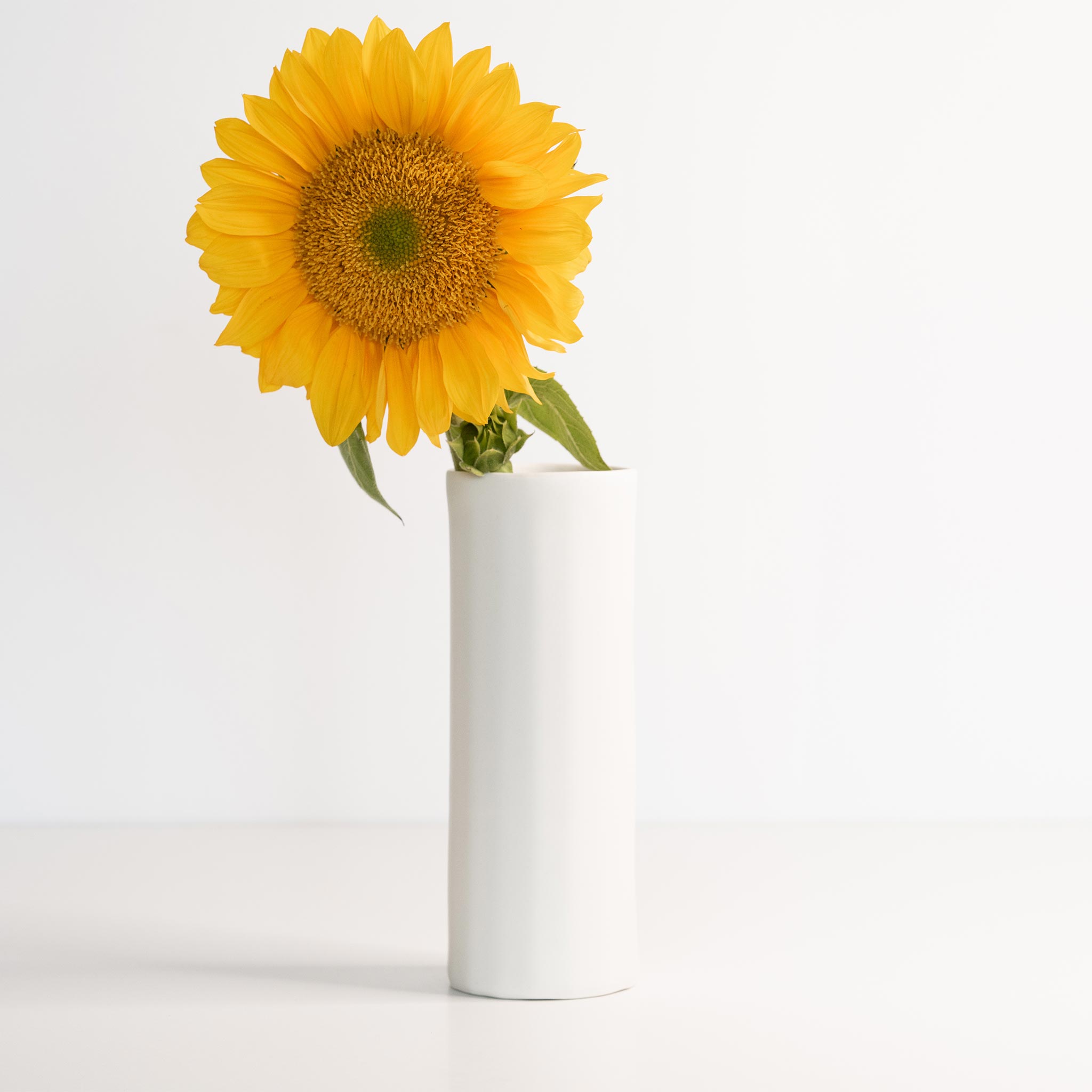 Bloom Vase | Handmade Porcelain Flower Vase | Home Decor & Floral Arrangements